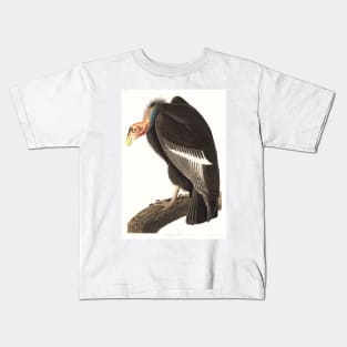 Californian Vulture (1827) Kids T-Shirt